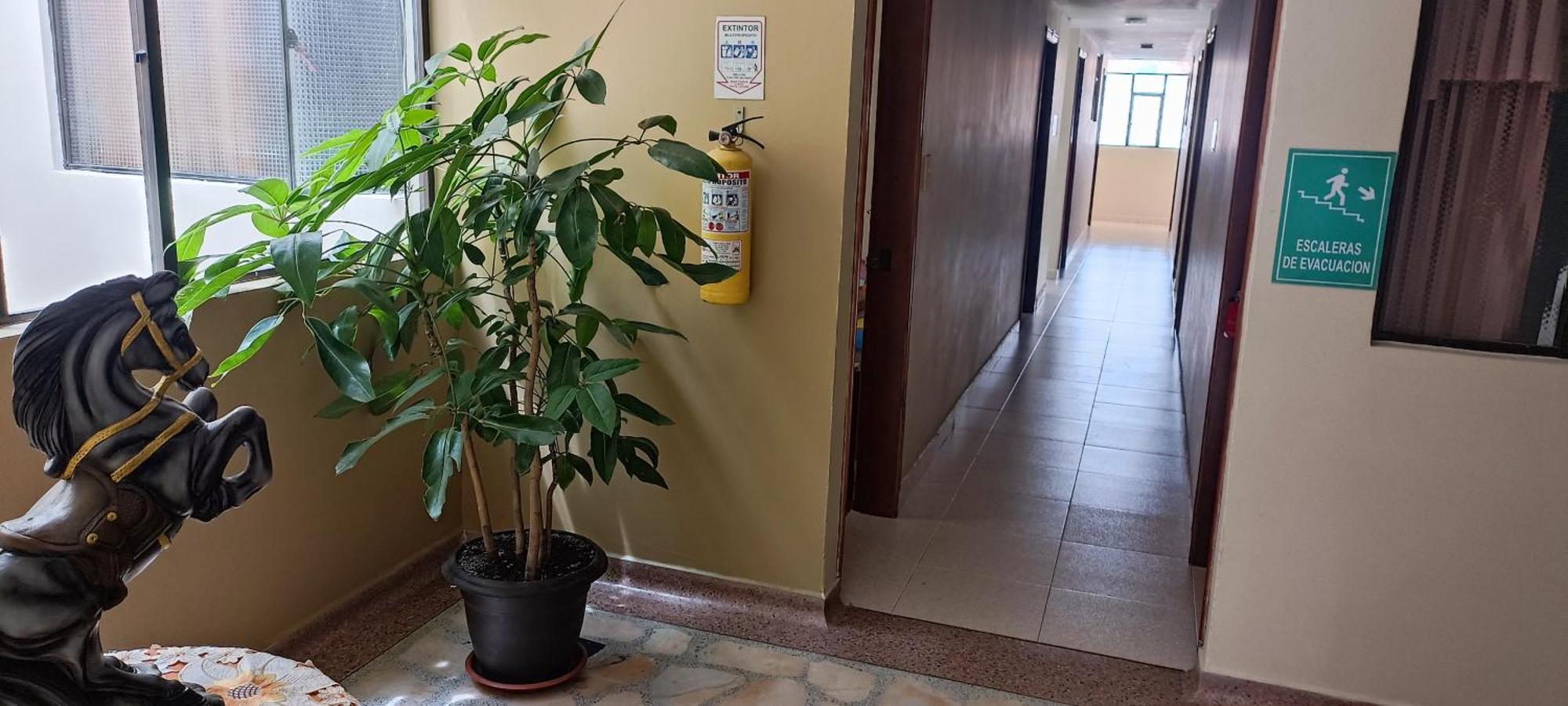 Hotel Monaco Pasto Bagian luar foto